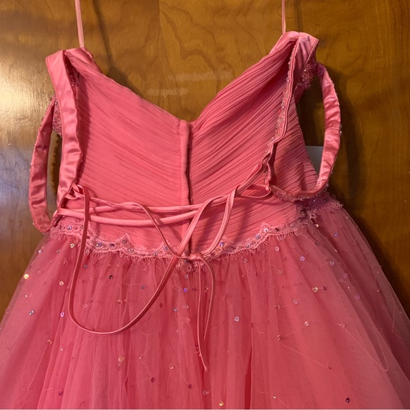 Alyce Designs pink prom dress - Picture 3 of 4